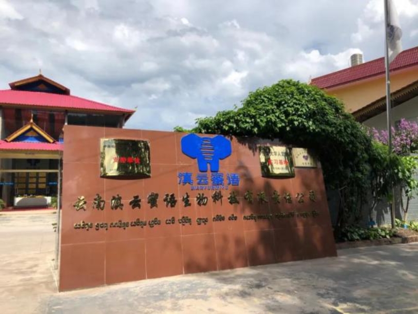 脱8