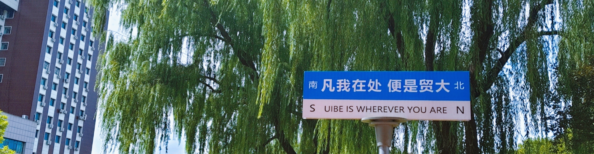 首页轮播图