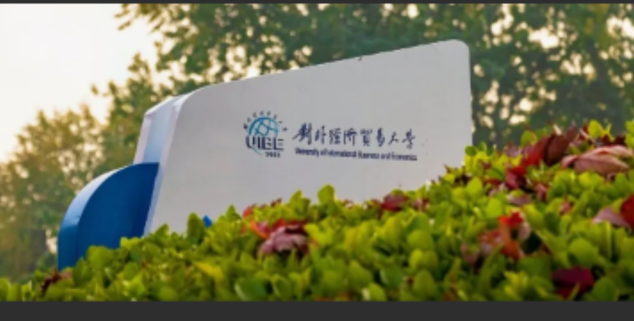 新闻轮播