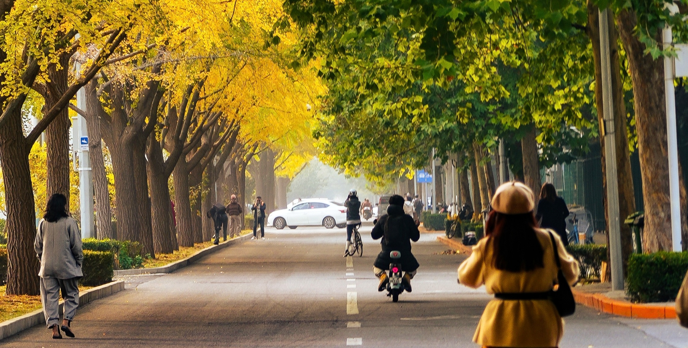 新闻轮播